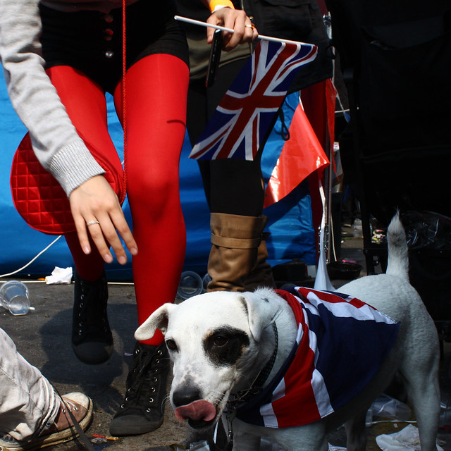 The Royal Wedding - Street Party - Doggy