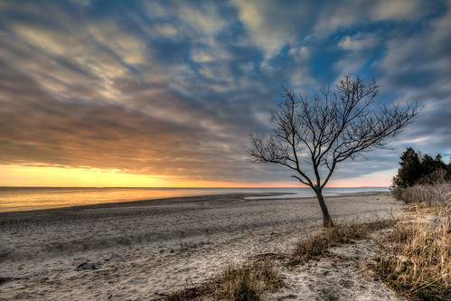 morning sky color tree beach water colors clouds sunrise dawn sand alone maryland solitary chesapeake