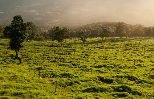 landscape geotagged costarica pasture valley centralvalley kostarika