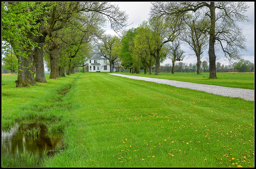 county trees house spring farm missouri lane dandelions audrain