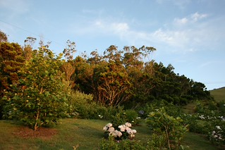 Flickr photo: Sunset on Santa Maria