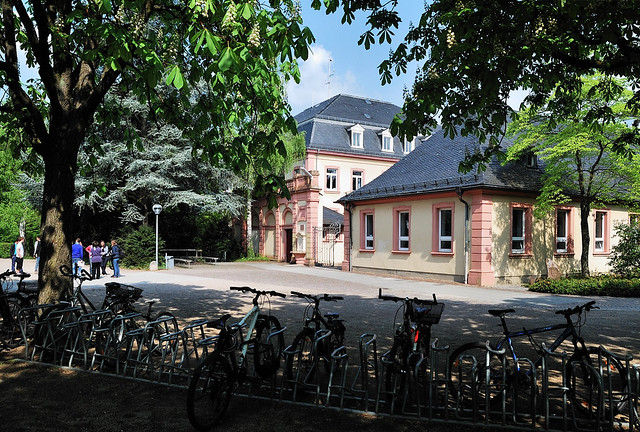 Bruchsaler Schulen: Schönborn-Gymnasium