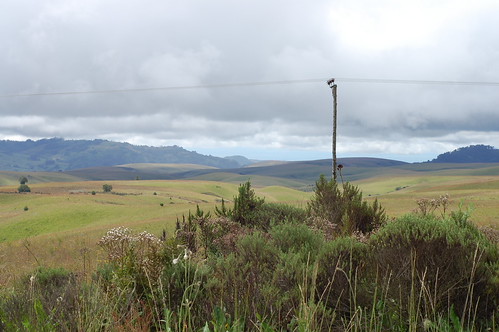 Kitulo National Park Tanzania-24 by Micah & Erin, landscape southernhighlandstzsafaris