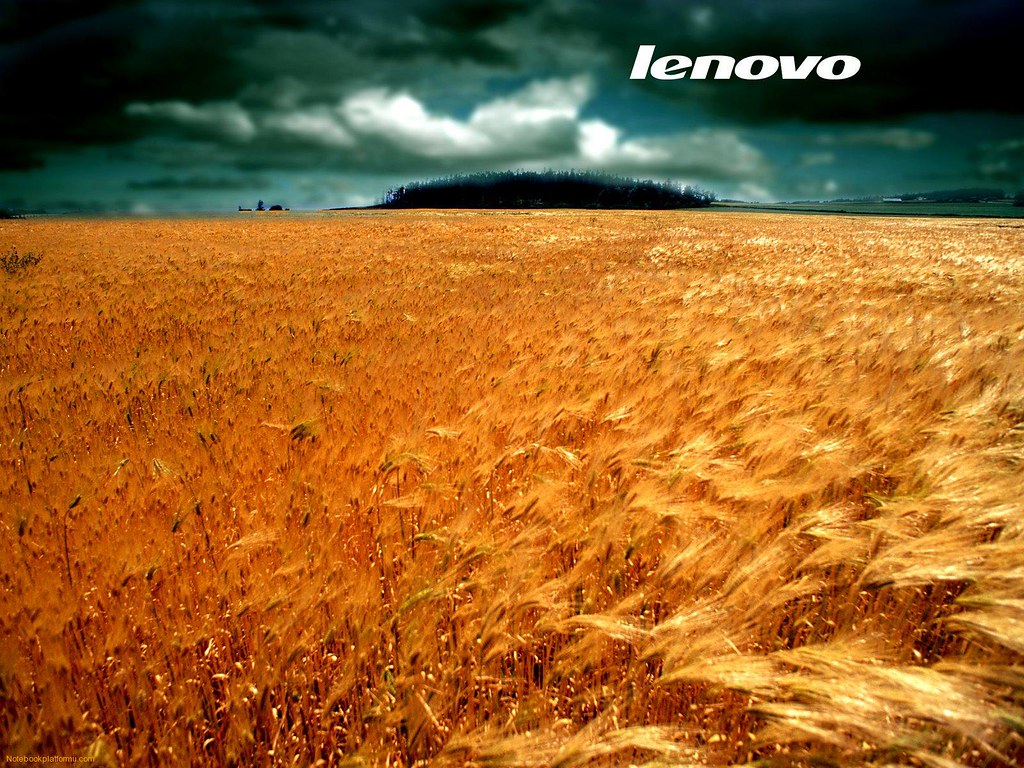 Lenovo - Wallpaper | Roger Silva | Flickr
