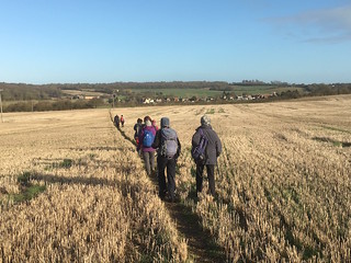 Another large arable field Farningham to Sole Street walk