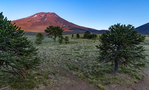 lonquimay volcan volcano araucania araucarias atardecer sunset chile andes losandes cordillera corralco panoramica panorama wide nature naturaleza