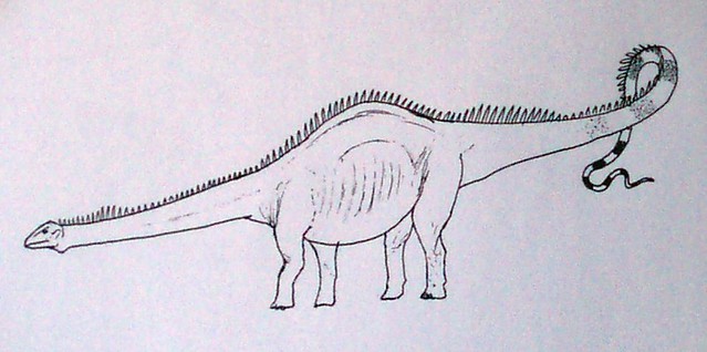 Diplodocus (Seismosaurus) hallorum