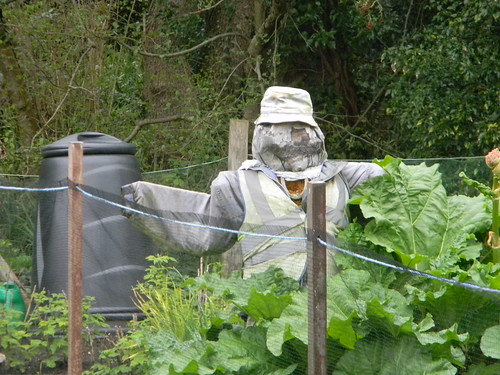 Scarecrow, Shere Guildford to Westhumble