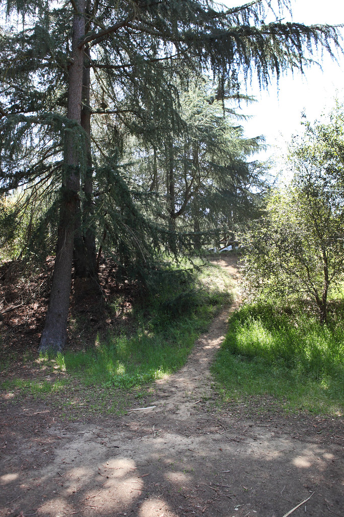Chernoff Trail