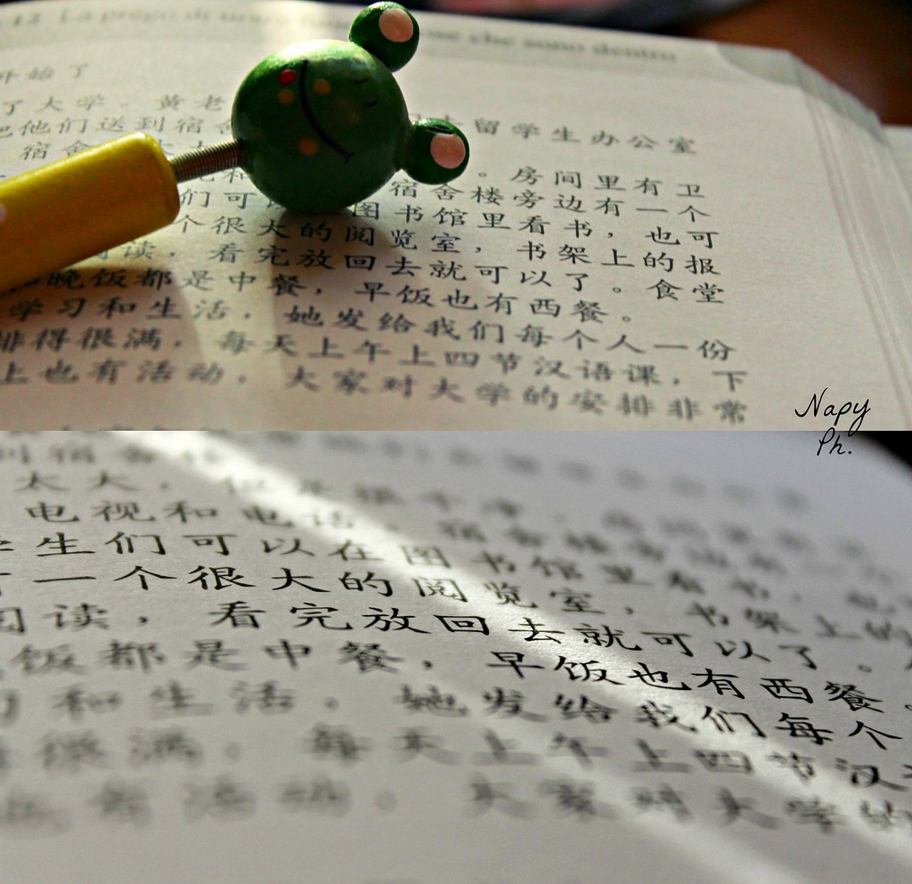 Studying Chinese