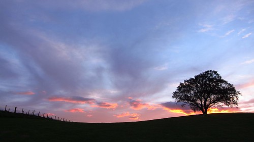 brampton cumbria england uk irthington sunset crookedholme sun cloud oldchurchlane oldchurchfarm landscape tree geltsdale bramptoncumbria