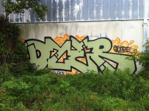 Dyer | by Simple_Former_Racist.