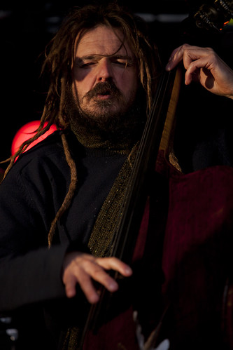 Martin Brunsden - Hothouse Flowers