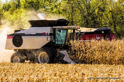 iowa gleaner combine s77 corn harvest fall sony a580