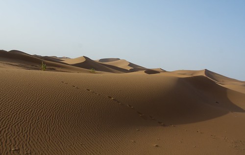 sahara sand raw desert dunes morocco ergchigaga