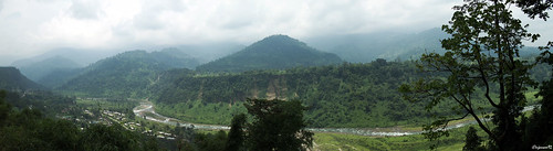 travel mountains flower macro photography monastery amateur himalayas lightart teagardens northbengal dooars