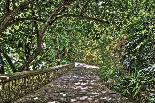 Path by Mineral Pool at Couples Sans Souci - HDR
