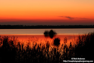 Sunset - Lake Mattamuskeet NC