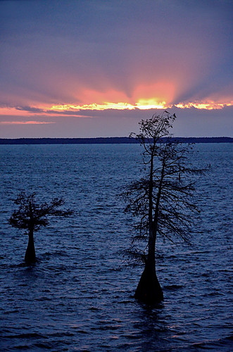 sunset nature louisiana cypress caddolake oilcity