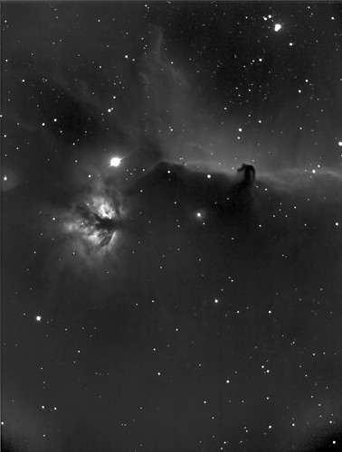Horsehead & Flame Nebula (fair) | B33 Horsehead and NGC 2024… | Flickr