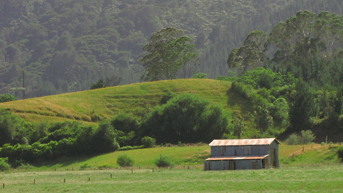 new travel newzealand rural landscape scenery farm zealand nz northisland bop bayofplenty