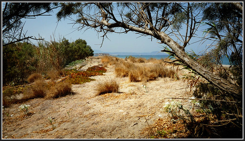Beach Camping Wildlife MISSIRIA Rethymnon Crete Greece  P1040812