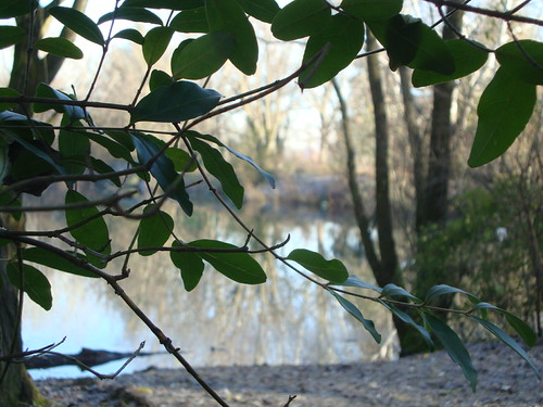 videocamera 217 | by giulio.forciniti