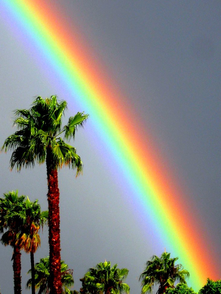 Regenbogenfarben-Spaziergang
