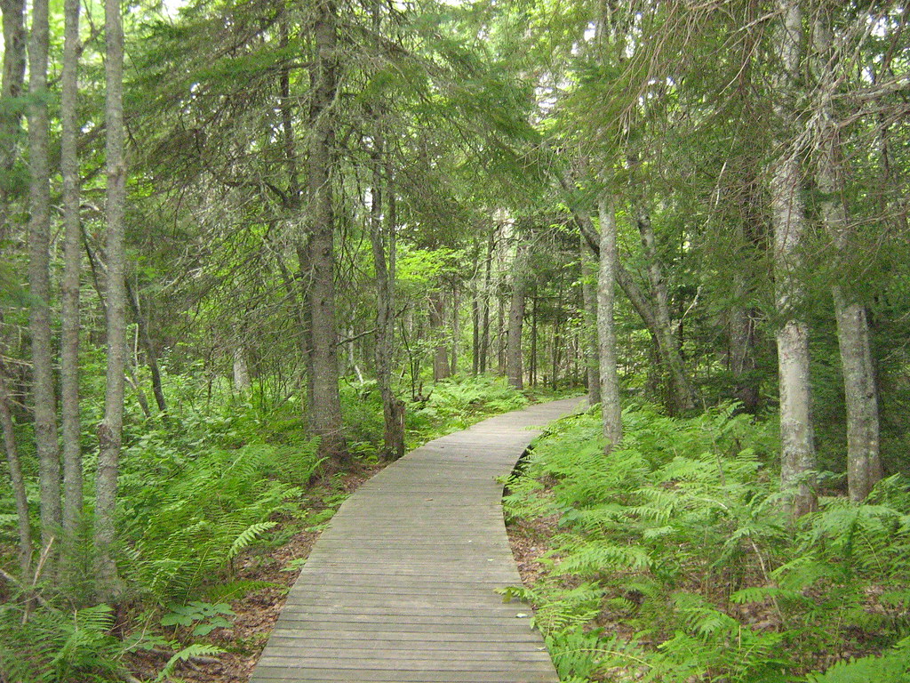 Sentier Micmac | François Lambert | Flickr