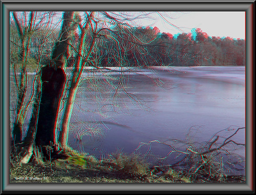 brian wallace brianwallace 3d stereo stereoscopy stereoscopic stereographic stereopicture stereoimage christmaseve 122410 depth anaglyph frame border abbottspond water nature outdoors outside pond tree ice frozen