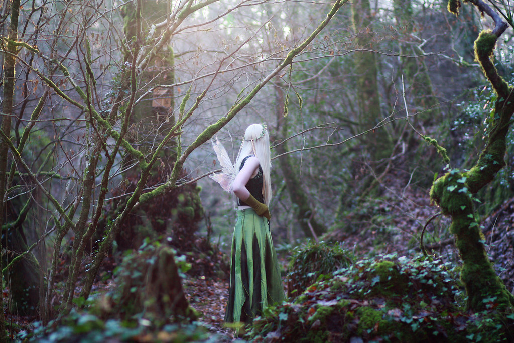 faerie. cold. woodland. tales. trees. forest. wings. december. elementals. ...