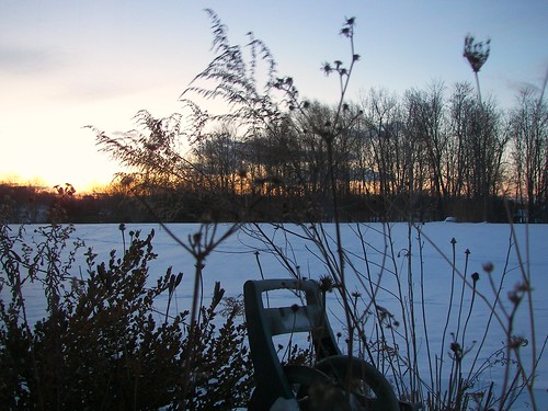 morning winter snow silhouette backyard dusk westernnewyork penfield sunse