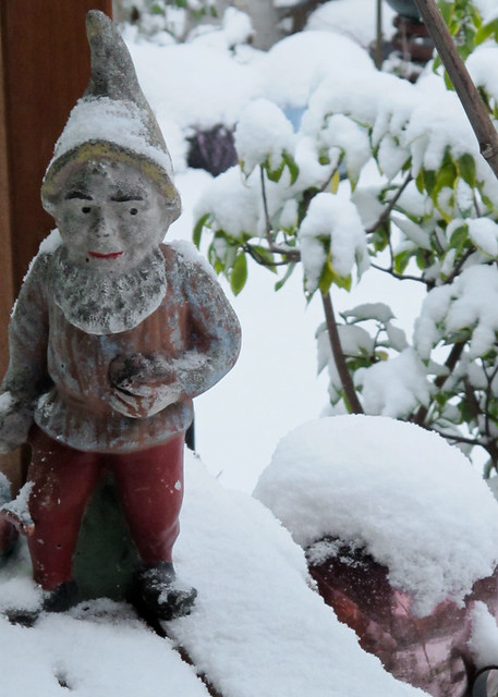 Skeptical Gnome Not Bothered by the Cold
