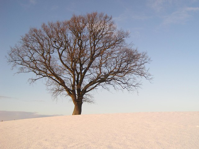 Brampton Cumbria Snow