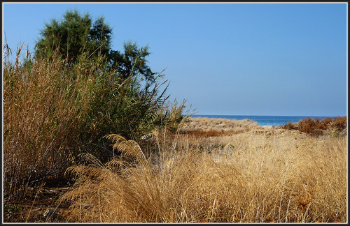 Beach Camping MISSIRIA Rethymnon Crete Greece  P1050034