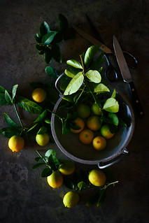 Lemons | by Nusrat Suborna