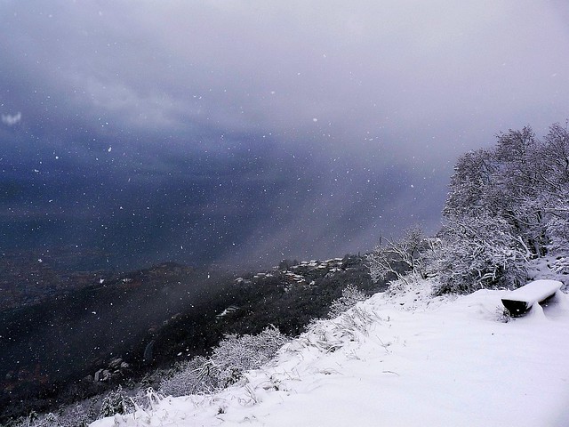 Snow Virga On Trieste Karst, Italy