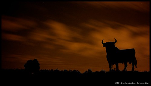 DSC_0120 by herr akx, silhouette night nikon outdoor bull toro osborne d90 borderfx 18200f3556vrii