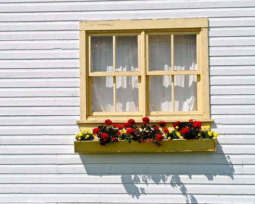 camera flowers white canada colour building rural manitoba historical dwwg
