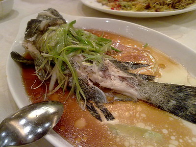 お魚
(o)sakana