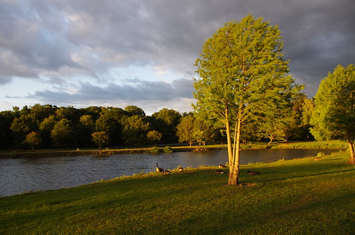 IMGP7547 by RaymondDukes, sunset nature water columbusga columbusgeorgia coopercreekpark coopercreekparklake