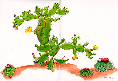 Succulent Garden again | by quirkyartist