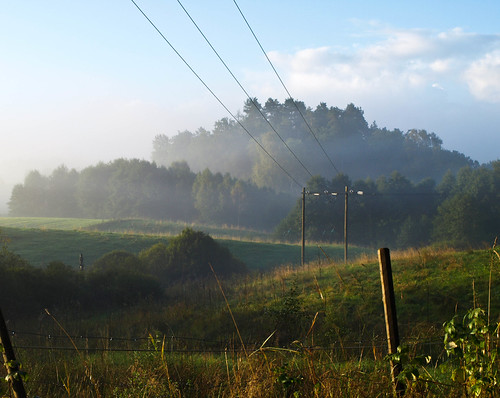 Foggy morning by Peddan Foto, blue trees sky field fog forest sunrise fence landscape wire power sweden foggy line cmwdgreen