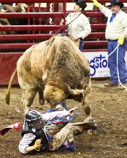 bull riding can be dangerous
