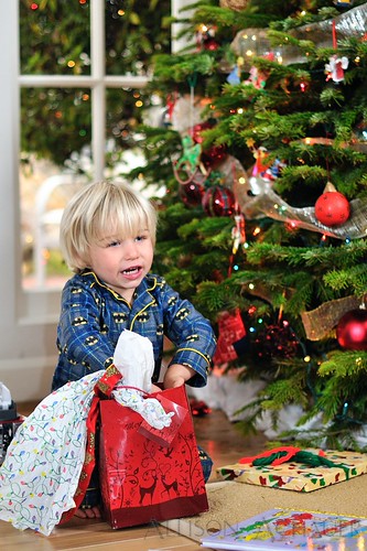 What's In The Bag? | by Allison Achauer