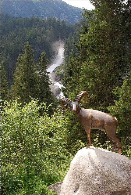 🇦🇹 🇪🇺 Cabra en las cataratas Krimml (Austria, 21-7-2016) ⭐