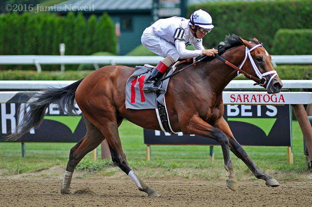 Theory breaks his maiden impressively at Saratoga