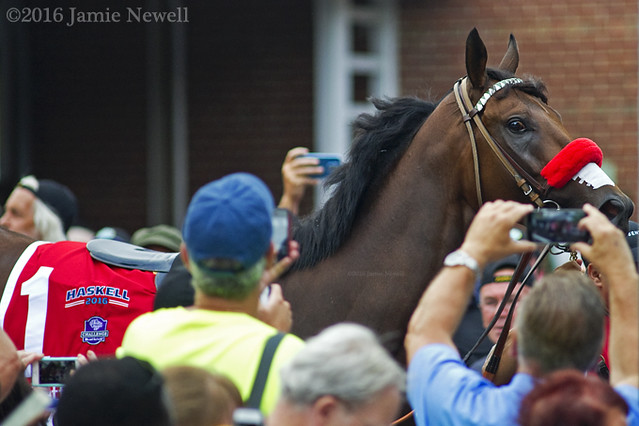Fans line up for Derby winner Nyquist