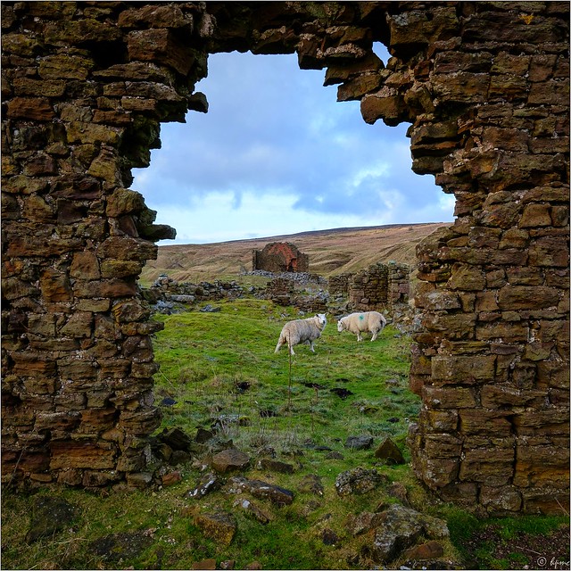 Rosedale Land of Iron - High Baring Workshop with Sheep