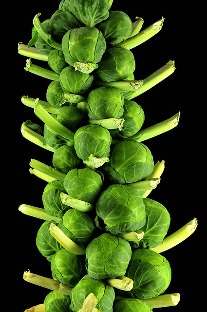 Brussels Sprouts Stalk 2, Colorado